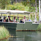 CROCODILE CRUISE
