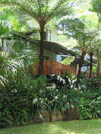 Lake Tinaroo Terraces