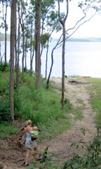 ABSOLUTE LAKEFRONT