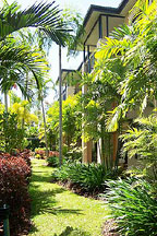 LUSH GARDENS