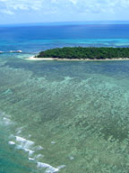 GREEN ISLAND