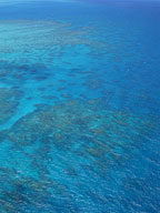 GREAT BARRIER REEF