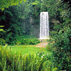 MILLA MILLA FALLS