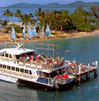 ARRIVING AT DUNK ISLAND