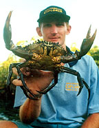 CATCH A MUD CRAB