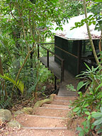 RAINFOREST HUT