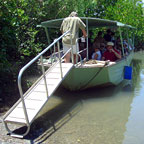 ONE HOUR CROC CRUISE