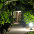 LUSH GARDEN ENVIRONMENT