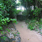 PATH TO BEACH