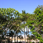 VIEW FROM BALCONY