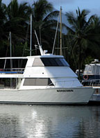 MV NORSEMAN