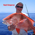 RED EMPEROR