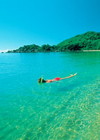 SNORKELLING OFF ORCHID BEACH