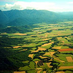 FINE FEATHER TOURS