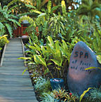 SPA OF PEACE AND PLENTY