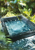 PEACE & PLENTY SIGNATURE BATH