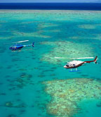 VIEW MARINELIFE