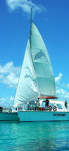 REEF DAYTRIPPER