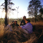TWILIGHT SAFARI