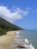 ELLIS BEACH