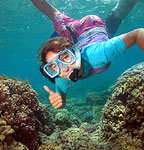 GREAT SNORKELLING
