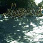 THE ROCK SLIDE