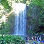MILA MILLA FALLS