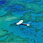 DAINTREE AIR