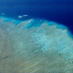 60 MINUTE REEF FLIGHT
