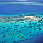 SPOT MARINE LIFE