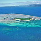 EXPERIENCE REEF & COASTLINE