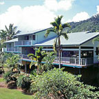Tranquility on the Daintree