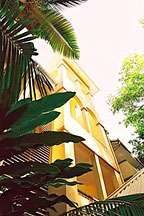 TROPICAL ENVIRONMENT