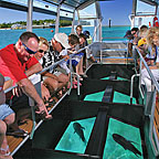 GLASS BOTTOM BOAT