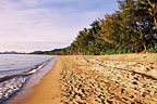 PALM COVE BEACH