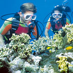 SCUBA DIVING AVAILABLE