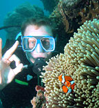 FIND NEMO!
