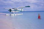 SECLUDED SANDY CAY