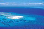 SCENIC REEF FLIGHT