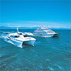 BIG CAT CRUISES