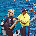 INTRODUCTORY DIVING AVAILABLE