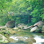 FLOWING CREEKS