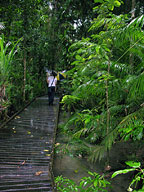 MARRDJA BOARDWALK