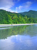 CAPE TRIB BEACH