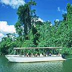 DAINTREE RIVER CRUISE