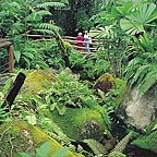 GUIDED WALK