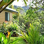 BIRDWING BUNGALOW
