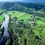 DAINTREE RIVER
