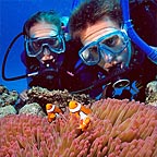 SEE THE MARINELIFE UP CLOSE!