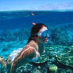 GUIDED SNORKEL TOURS AVAILABLE